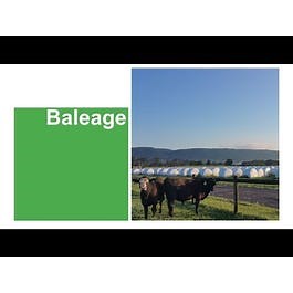 Baleage