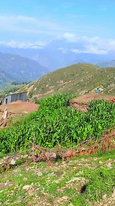 468K views · 35K reactions | Scenery view ♥️ | Beautiful mountain path | Facebook