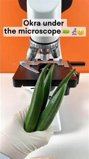 బెండకాయ నీ microscope 😱 లో పెట్టి చుస్తే 👀🥵#trendingshorts #shortsfeed #youtubeshorts #viralshorts