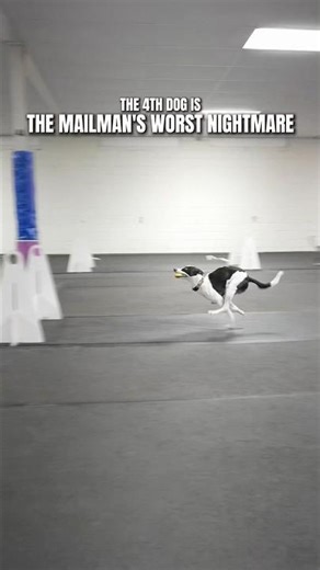 Mailman’s worst nightmare