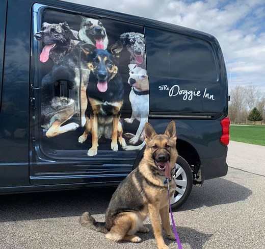 The Doggie Inn | Grafton's Premier Dog Boarding & Training Facility