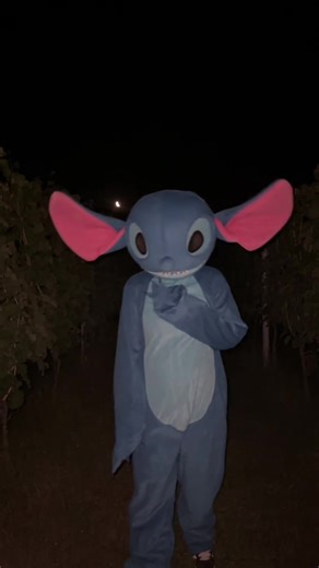 Real life Stitch on TikTok