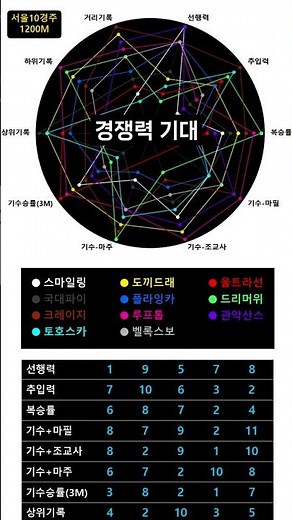 26.05.09 서울경마 10경주 핵심