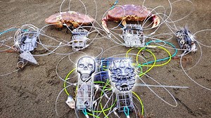 528K views · 6.6K reactions | Hunting for Treasure at Low Tide: You Won’t Believe What We Found! ⛵ #fishing #treasure #hunting | Fisherman's Life | Facebook