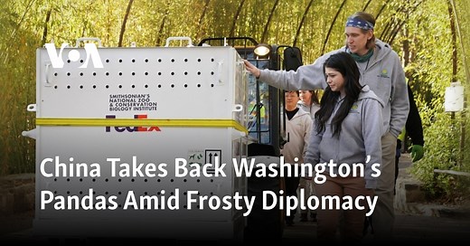 China Takes Back Washington’s Pandas Amid Frosty Diplomacy