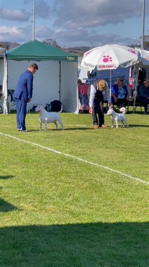 Helen Walker on Reels