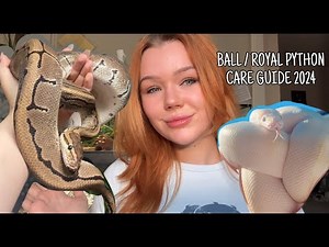 The ULTIMATE Ball Python Care Guide | 2024