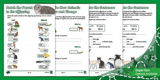 Match the Parent to Its Offspring (Ages 6 - 7)