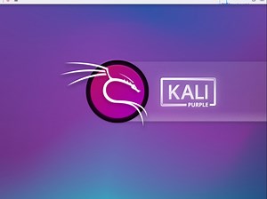 如何在kali linux中上网