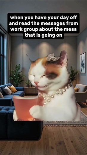 check bio for remote jobs no experience