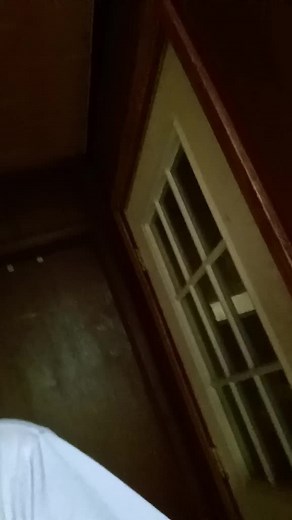 Marsha Jordan (@marshajordan79)’s videos with Show me your avatar - daddymfcas