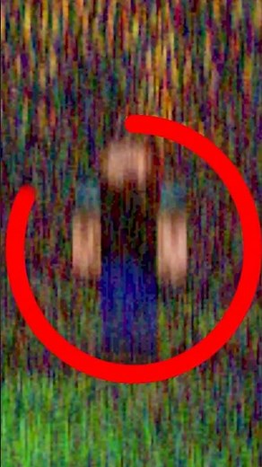 The Minecraft Mystery That Has Been Unsolved for Years