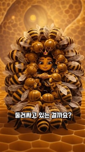 일벌들이 여왕벌을 집단으로 죽이는 이유 ㅎㄷㄷ
