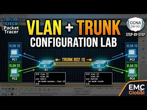 VLAN and Trunk Configuration in Packet Tracer | CCNA 200-301 Lab