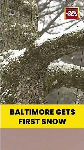 Light Snow Falls in Baltimore as Winter Approaches | First Seasonal Flurries Captured