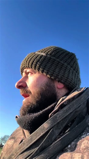 Open Discussion on Protection Dogs and Training Techniques