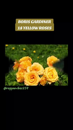 Boris Gardiner Performs 18 Yellow Roses | Reggae Vibes 254