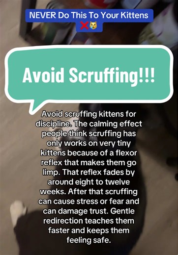 Avoid Scruffing Kittens for Better Behavioral Training