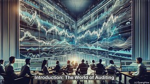 What is the difference between a financial auditor and a compliance auditor?