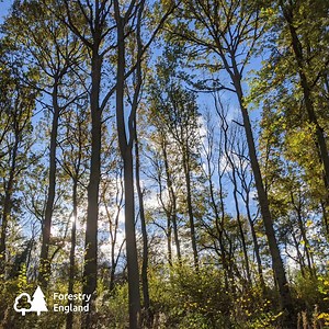 16K views · 55 reactions | Summer is here! And there is loads to do...