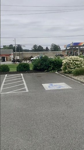 Amish Buggy Ride in Beautiful Countryside .