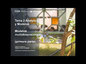 Tema 2 Analytics y Modelos - Modelos multidimensionales (primera parte)