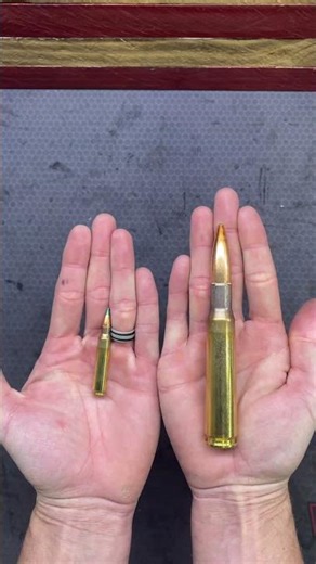5.56 vs .50 BMG the difference is insane! #338Lapua #50BMG #LongRangeShooting #SniperRifle #5.56