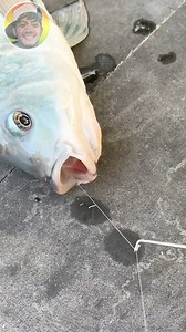 Ang bilis tangalin ng kawil 😱 | Potch Vlog