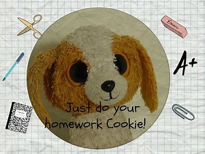 Beanie Boo Studios ~ Just do your homework Cookie!