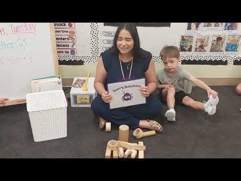 Suri Spider Problem Solving