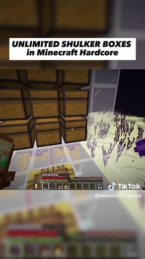 Unlimited Shulker Boxes in Minecraft Hardcore | acookiegod