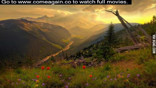 watch the movie flight 2012 online free