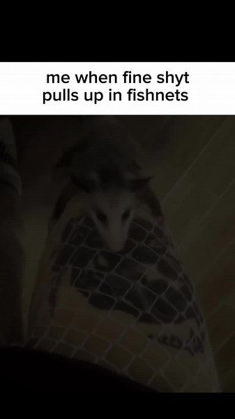 Relatable Fashion: Exploring Fishnet Styles