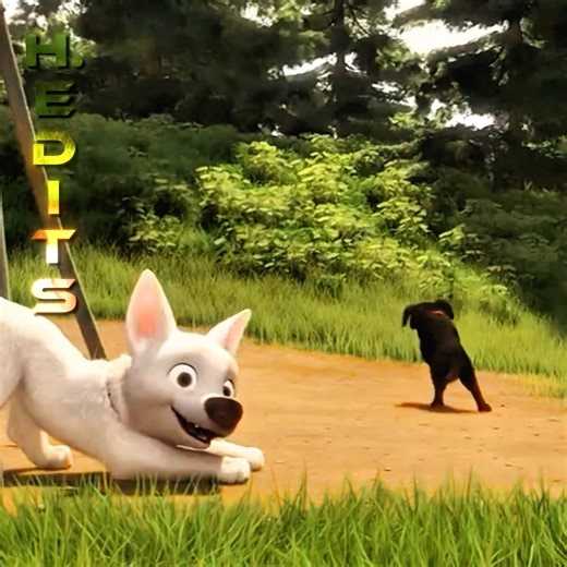 Bolt Finally Gets to Be a Real Dog 🐾