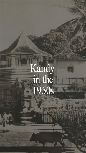 Lost Ceylon Diaries Magazine on Instagram: "This footage comes from Seeing Ceylon (1952), a short travel documentary narrated and produced by James A. FitzPatrick, one of the creators of the “Traveltalks” series, who sought to introduce foreign audiences to the landscapes, culture, and heritage of Ceylon. In Seeing Ceylon, FitzPatrick and his team (cinematographer Hone Glendinning, composer Joseph Nussbaum) capture Colombo, Mount Lavinia Hotel, and the hill-city of Kandy in the early 1950s... sh