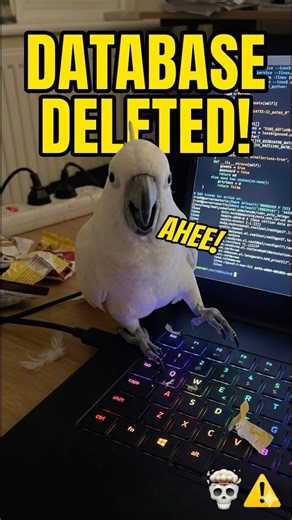 Asking my cockatoo to fix a bug was a mistake #shorts
