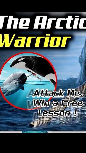 Narwhals Aren't Unicorns—They're Something Far Stranger