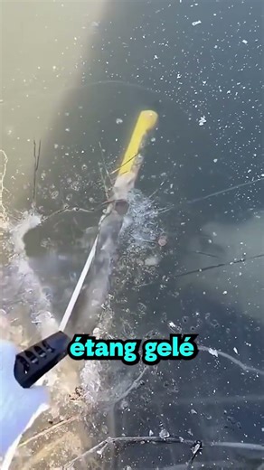 Never light a firework underwater 😮