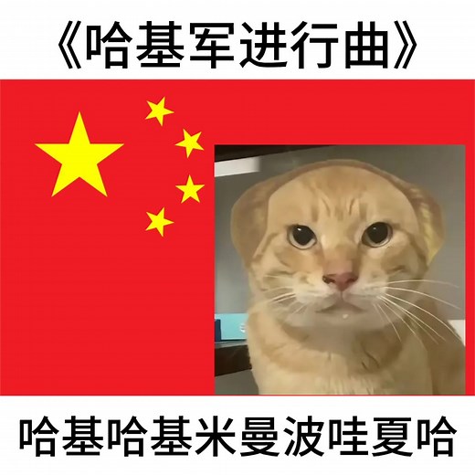 义勇军进行曲 哈基米版 — 哈基米演绎完整版