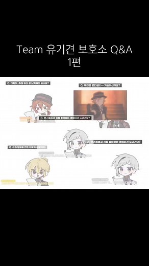 팀 유기견 보호소 Q&A: 보호소 이야기와 더빙
