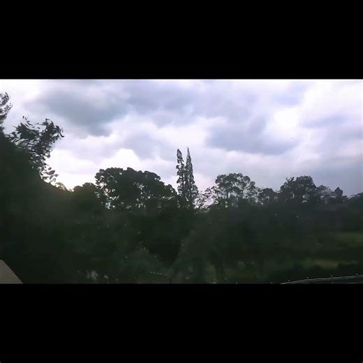 Thoda Thoda Pyar Hua Tumse ❤️ #ReelMood #nature natu