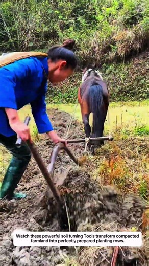Horse-Powered Soil Turning Tools Creating 12-Inch Deep Furrows