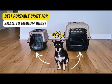 Portable Dog Crate Review | Best Dog Kennel for Small and Medium Sized Dogs 🐶