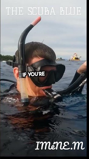 How to set up your dive computer !#computer #diving #facts #gear #shere #water #suuntowatch #mares