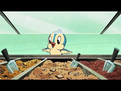 Feed the Birds | A Mickey Mouse Cartoon | ‪@disneykids‬