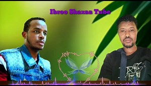 Abbaa gadaa J/Ibroo shaxaatiin kan waraabame | Aliyi sabit show