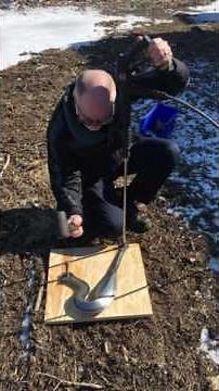 Hydroform Expansion Chamber