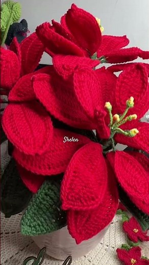 Crochet poinsettias 🪴🎄 #crochet #poinsettia #shelencrochet