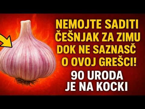 Nemojte saditi češnjak za zimu dok ne saznate o OVOJ grešci! ❌ 90% uroda je na kocki.