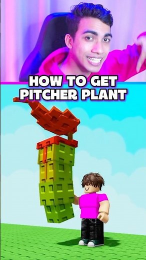 How to Get PITCHER PLANT in Grow a Garden ✅